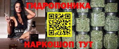 кокс Тара