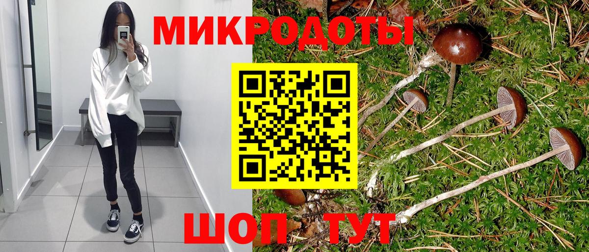 Псилоцибиновые грибы Magic Shrooms Кондопога