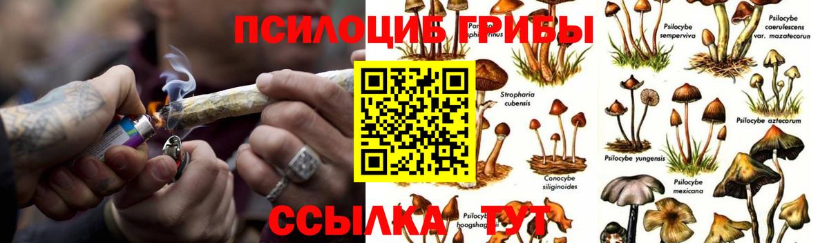 Галлюциногенные грибы Psilocybine cubensis  Вход с VPN  Псилоцибиновые грибы мухоморы  Кондопога 
